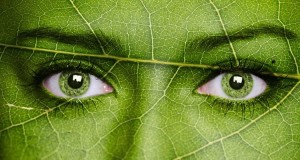 Augen grün Blatt